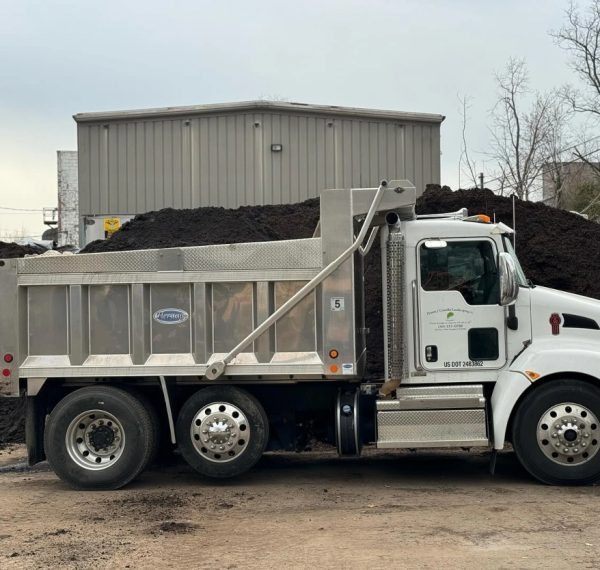 468872287_17992130138731579_4445048382573919569_n@2x